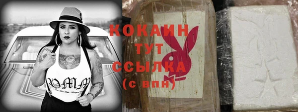 стафф Нефтегорск