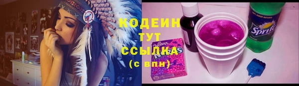 дурь Нея