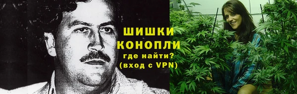 дурь Нея