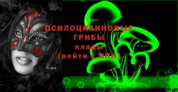 дурь Нея