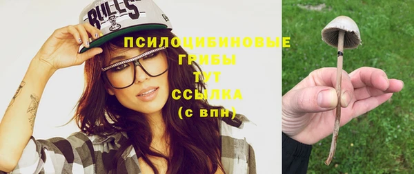 стафф Нефтегорск
